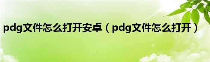 pdg文件怎么打开_pdg文件怎么打开安卓?(pdg)