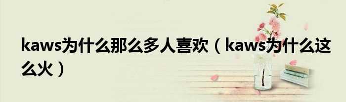 kaws为什么这么火_kaws为什么那么多人喜欢?(kaws为什么那么火)
