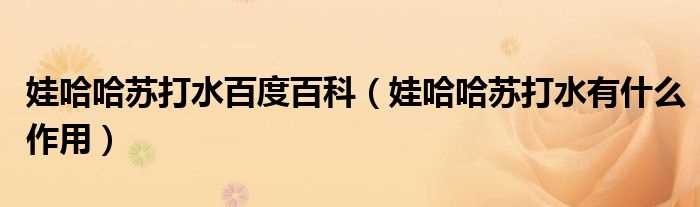 娃哈哈苏打水有什么作用_娃哈哈苏打水百度百科?(娃哈哈苏打水)