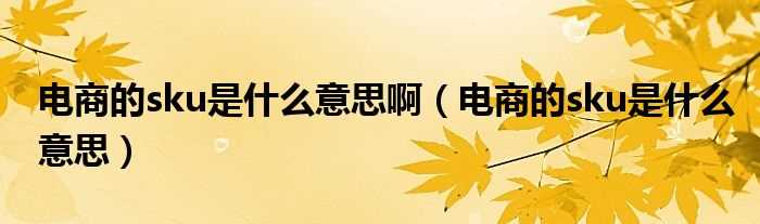 电商的sku是什么意思_电商的sku是什么意思啊?(sku)