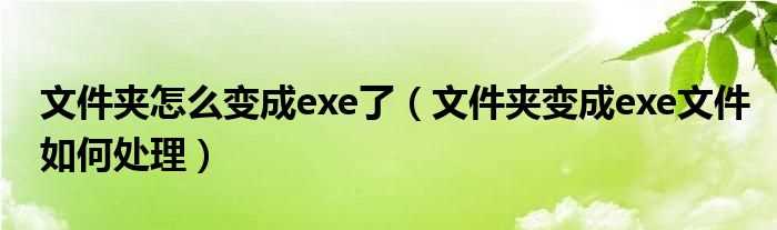 文件夹变成exe文件怎么处理_文件夹怎么变成exe了?(文件夹变成exe)
