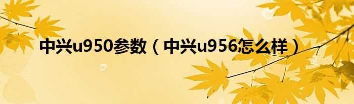 中兴u956怎么样_中兴u950参数?(中兴u956怎么样)