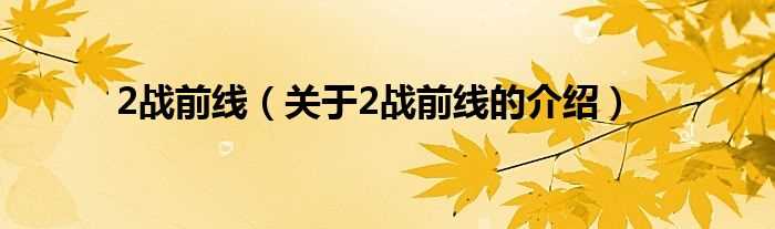 关于2战前线的介绍_2战前线(2战前线)