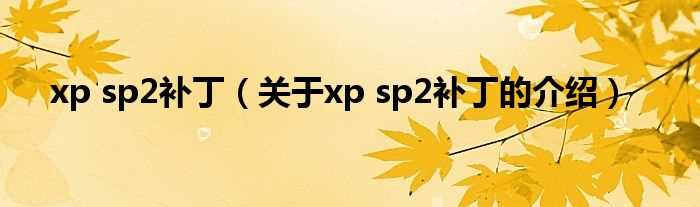 关于xp_sp2补丁的介绍_xp_sp2补丁(xp sp2补丁)