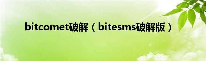 bitesms破解版_bitcomet破解(bitesms)