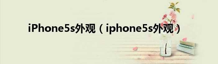 iphone5s外观_iPhone5s外观(iphone5s外观)