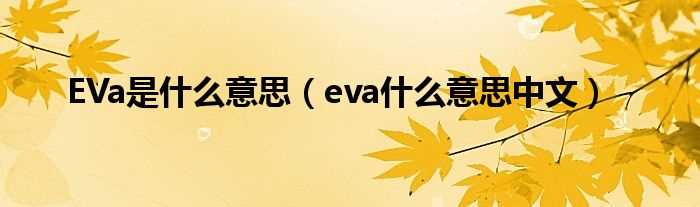 eva什么意思中文_EVa是什么意思?(eva是什么)