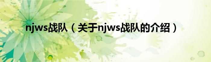 关于njws战队的介绍_njws战队(njws战队)
