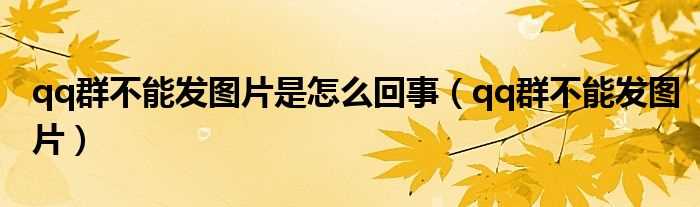 qq群不能发图片_qq群不能发图片是怎么回事?(qq群不能发图片)