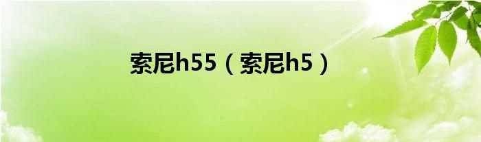 索尼h5_索尼h55(h55)
