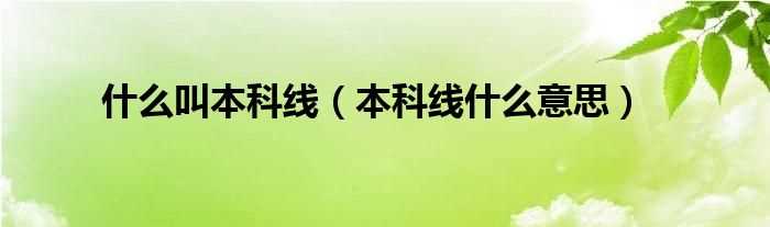 本科线什么意思_什么叫本科线?(本科线是什么意思)