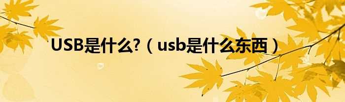 usb是什么东西_USB是什么?(usb)
