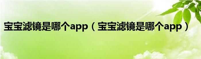 宝宝滤镜是哪个app_宝宝滤镜是哪个app?(宝宝滤镜软件是什么)