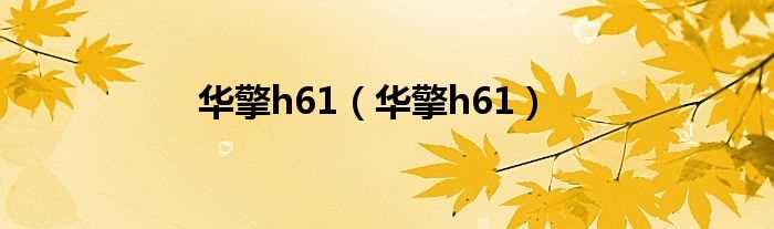 华擎h61_华擎h61(华擎h61主板)