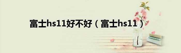 富士hs11_富士hs11好不好(hs11)