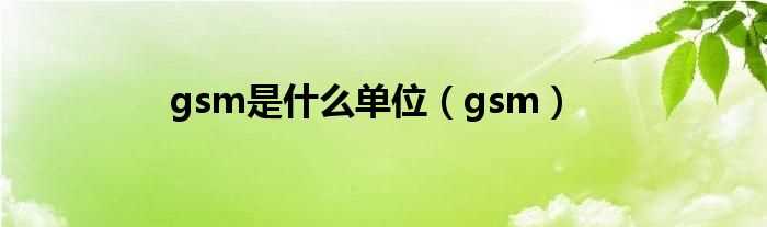 gsm_gsm是什么单位?(gsm)