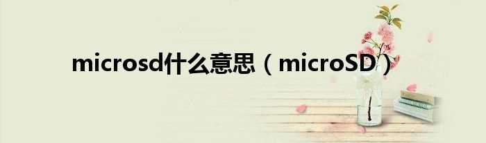microSD_microsd什么意思?(microSD)