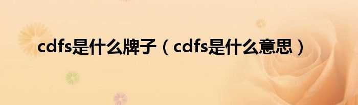 cdfs是什么意思_cdfs是什么牌子?(cdfs)