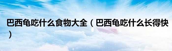 巴西龟吃什么长得快_巴西龟吃什么食物大全?(巴西龟吃什么)