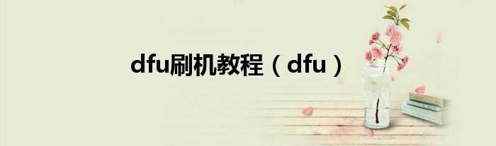 dfu_dfu刷机教程(dfu模式刷机)