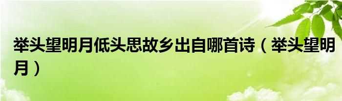 举头望明月_举头望明月低头思故乡出自哪首诗?(举头望明月低头思故乡)