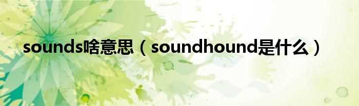 soundhound是什么_sounds啥意思?(sounds是什么意思)