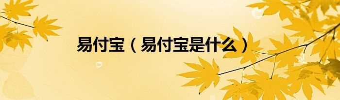 易付宝是什么_易付宝?(易付宝)