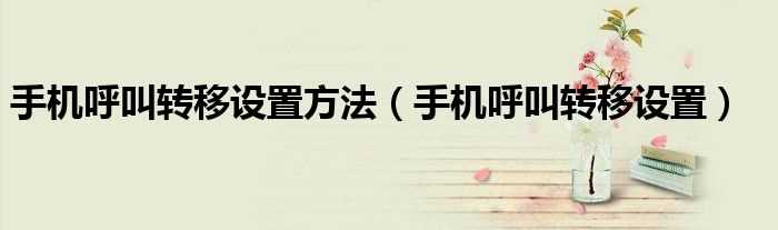 手机呼叫转移设置_手机呼叫转移设置方法(手机呼叫转移设置)