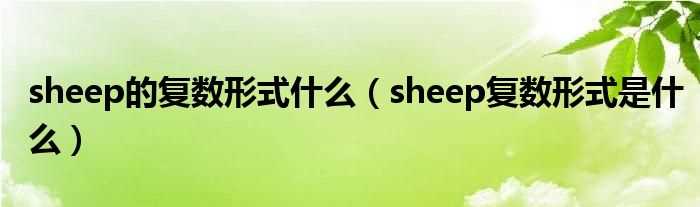 sheep复数形式是什么_sheep的复数形式什么?(SHEEP的复数形式)