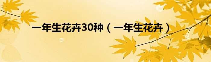 一年生花卉_一年生花卉30种(一年生花卉)