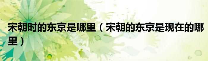 宋朝的东京是现在的哪里_宋朝时的东京是哪里?(宋朝东京)