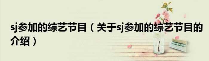 关于sj参加的综艺节目的介绍_sj参加的综艺节目(sj 综艺)