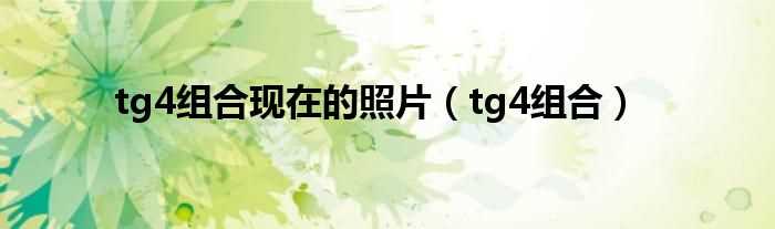 tg4组合_tg4组合现在的照片(tg4组合)