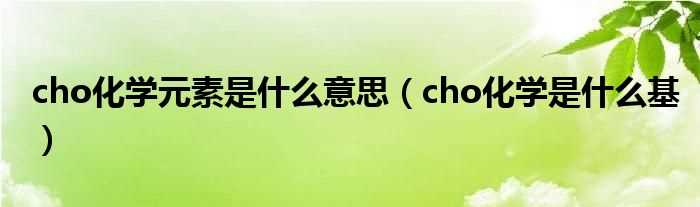 cho化学是什么基_cho化学元素是什么意思?(cho)