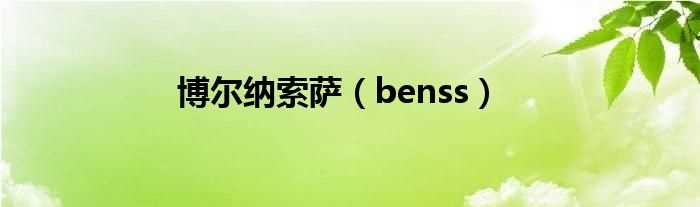 benss_博尔纳索萨(benss)
