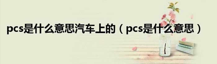 pcs是什么意思_pcs是什么意思汽车上的?(PCS)