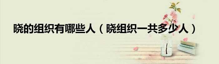 晓组织一共多少人_晓的组织有哪些人?(晓组织)