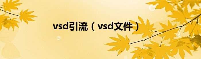 vsd文件_vsd引流(vsd)