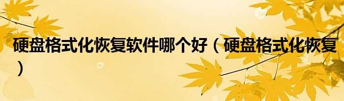 硬盘格式化恢复_硬盘格式化恢复软件哪个好?(格式化恢复软件)