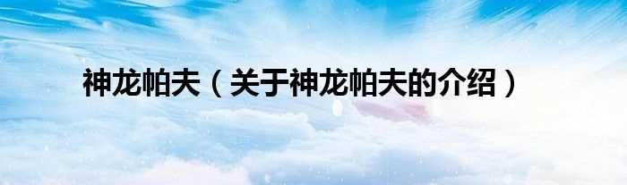 关于神龙帕夫的介绍_神龙帕夫(神龙帕夫)