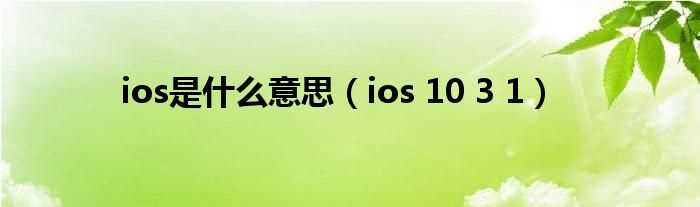 ios_10_3_1_ios是什么意思?(ios 10.3.1)