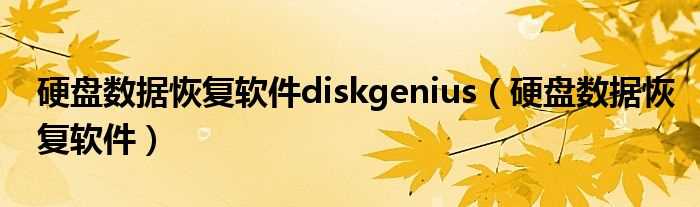 硬盘数据恢复软件_硬盘数据恢复软件diskgenius(硬盘数据恢复)