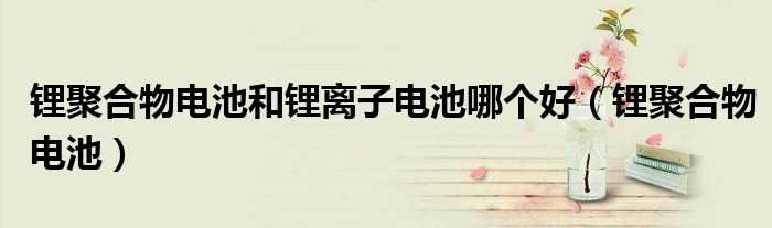 锂聚合物电池_锂聚合物电池和锂离子电池哪个好?(锂聚合物电池)