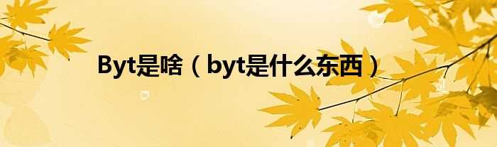 byt是什么东西_Byt是啥?(BYT)