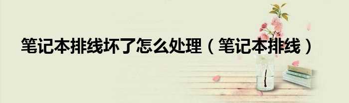 笔记本排线_笔记本排线坏了怎么处理?(笔记本排线)