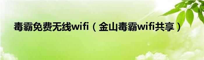 金山毒霸wifi共享_毒霸免费无线wifi(毒霸免费wifi)