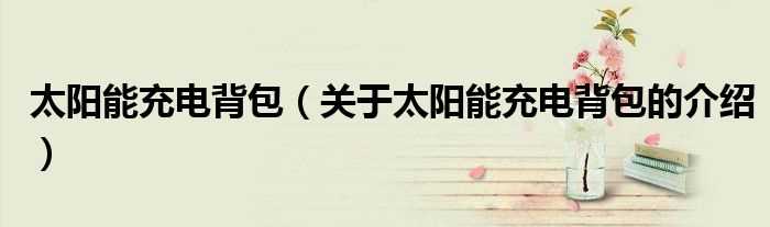 关于太阳能充电背包的介绍_太阳能充电背包(太阳能充电背包)