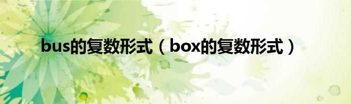 box的复数形式_bus的复数形式(bus的复数)