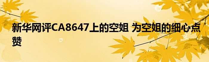 新华网评CA8647上的空姐_为空姐的细心点赞(新华网评CA8647上的空姐)