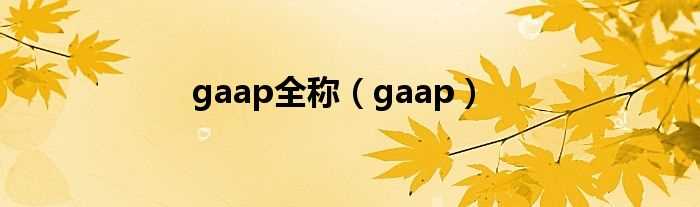 gaap_gaap全称(gaap)
